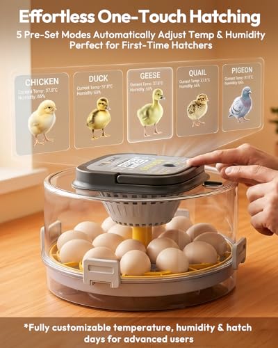 Egg Incubator for Hatching with Temperature Control