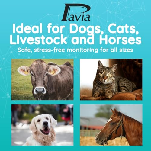 Pavia Rectal Temp Veterinary Thermometer | Accurate Temps in Only 6 Seconds | Cordless | Ideal for Dogs Cats Horses Pets | No Expensive Probe Covers | Trusted by Vets and Breeders