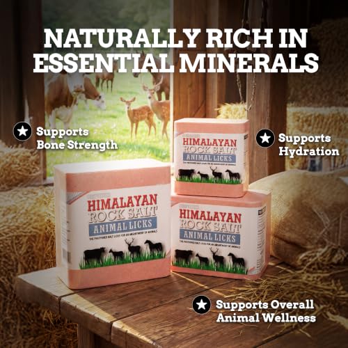 Compressed Salt Lick for Livestock & Wildlife, 11 lb - size: 11 Pound (Pack of 1)