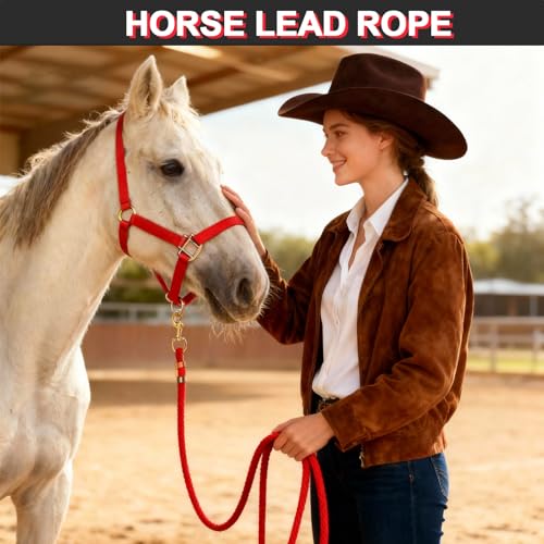 5/8" x 8' Nylon Horse Lead Rope with Cast Iron Hardware(Red) | Durable nylon material, cast iron hardware, ideal for daily use, training and showing. - color: Red