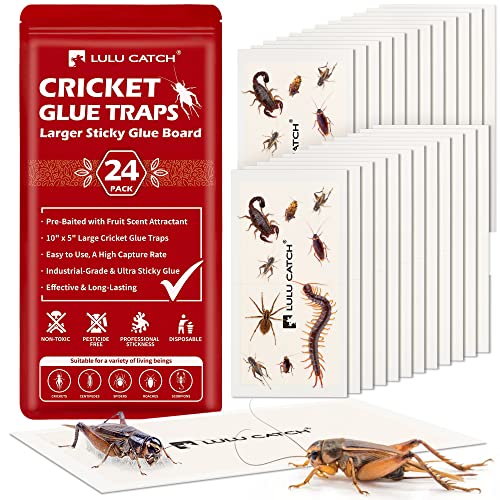 LULUCATCH Cricket Insect Glue Traps - 24 Pack Bug Cockroach Sticky Traps, Large Spider Trap with Pre-Baited Attractant, Highly Effective Glue Boards Indoor, Non-Toxic Pet Safe, Easy to Use - size: 24 Pack