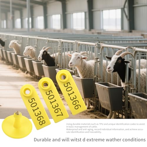 500pcs Farm Animal Ear Tags Numbered 001-500 Livestock Identification for Cattle Cows Hogs Pigs Sheep Goats (500, Small-Yellow) - color: Small-yellow