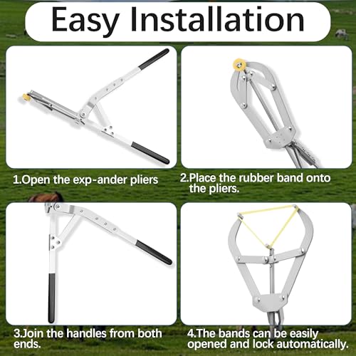 25 Elastrator Bands with Large Stainless Steel Banding Tool Bander Livestock Management Fits Bull,Calves, Goats, Sheep, Easy Application