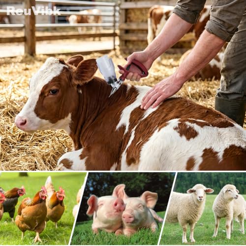 5ml Continuous Self-Refilling Livestock Syringe, 10 Needles Included | Adjustable dosage from 0.5ml to 5ml Veterinary Injection Gun for Chicken, Duck, Pig, Sheep, Cow Poultry - color: Rose Red