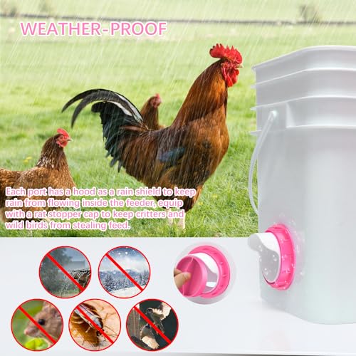 Chicken Feeder Port 6 Pack Pink, Solar Fan for Chicken Coop with Battery & Timer