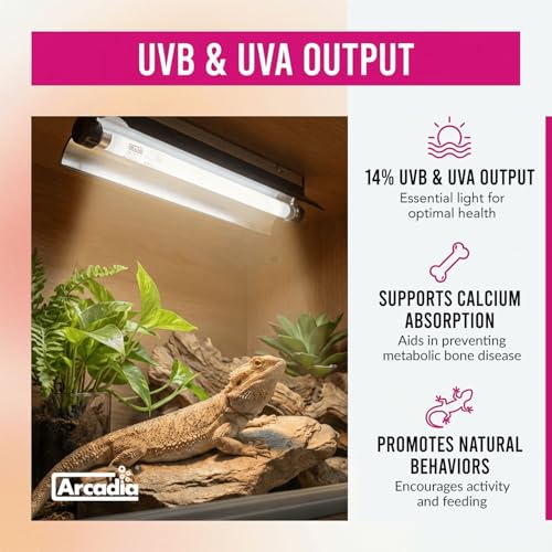 Arcadia T5 UVB Reptile Light Fixture Kit 24" Long 24 Watts 14% UVB Dragon – Complete UVB Light for Reptiles, Turtles, Snake, Bearded Dragon Lamp, Long Lasting Easy to Use Professional Lighting