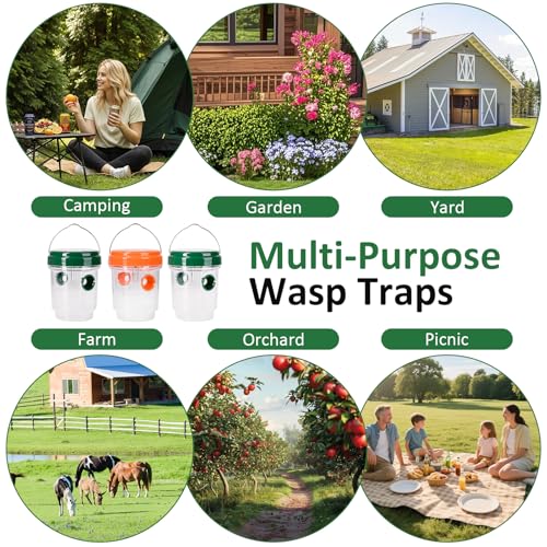 3 Pack Outdoor Hanging Wasp Catcher Reusable Insect Catching Container for Garden Yard Deck