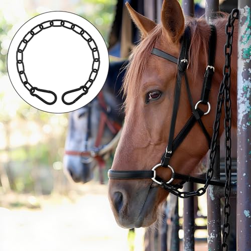 20 inch Gate Chain Lock with Both-Ended M8 Carabiners,Chain Dia 5 mm,Black | 304 Stainless steel, for outdoor fence gates,pet cages, easy to lock/unlock, extra security, for gate that wouldn’t stay shut - size: 20" x 13/64"