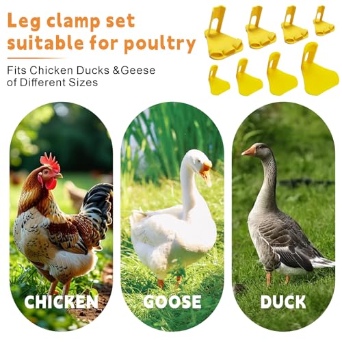 8 PCS Chicken Leg Splint & Adjustable Poultry Leg Brace with Toe Separator, Veterinary-Grade Splint Clamp, Treats Broken Feet, Curled Toes, Bumblefoot, Osteoarthritis in All Growth Stages