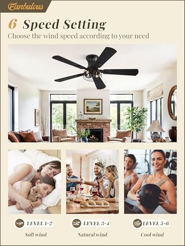 Fanbulous 42 Inch Farmhouse Rustic Caged Ceiling Fan with Lights, 2 Pack | Double-sided Color Blades , APP/Remote Control ,6-speed Wind & Reversible Function, Timer, Flush Mount, Black/ Walnut - color: Black and Walnut