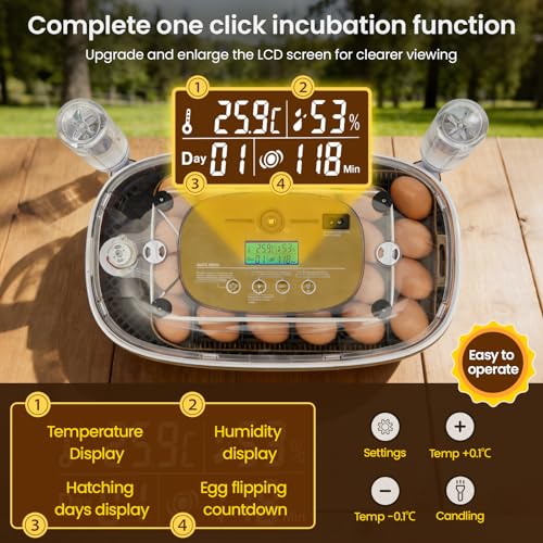 24-Egg Incubator: Auto Egg Turner, Precise Temp Control, Auto Water Refill, Candler | 360° Full Clear View | Fits Chicken/Duck/Quail/Goose/Parrot Eggs | Farm/Home/Classroom Use