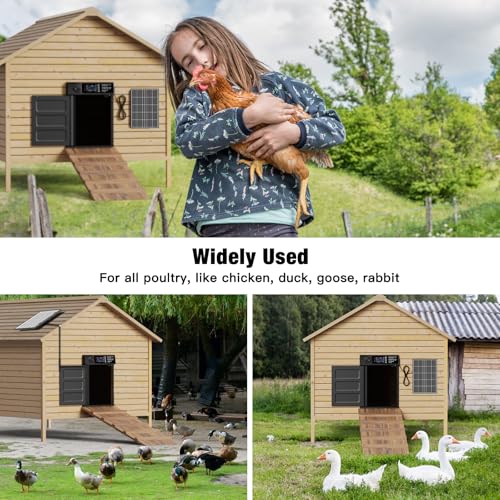 Automatic Chicken Coop Door, Large Size Solar Powered Coop Door | Opening in Emergency, Anti-Pinch, Timer & Light Sensor, Aluminum Waterproof Auto Chicken Door, with 7W Solar Panel