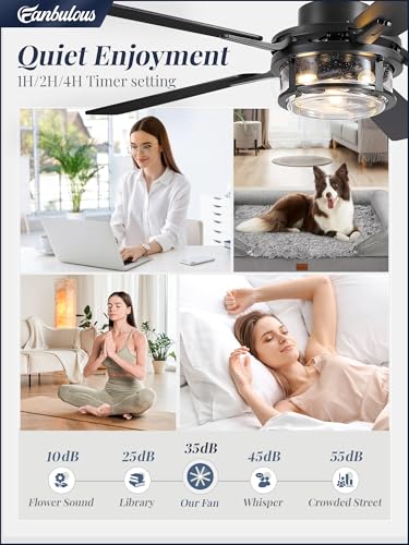 Fanbulous 52" Farmhouse Ceiling Fan with Light & Remote App, Rain Glass | Quiet DC Motor, 6-Speed Reversible, Downrod Mount, Double-Sided Blades, Black & Wood for Bedroom, Living Room - color: Black
