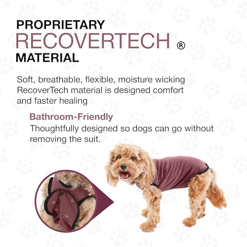 Dog Surgery Recovery Suit, Male Female After Spay Neuter Onesie | Soft Breathable Cotton, Anti-licking Cone Alternative, Protects Stitches & Abdominal Wounds, Patented Clip-up Potty System - color: Rose, size: Mini