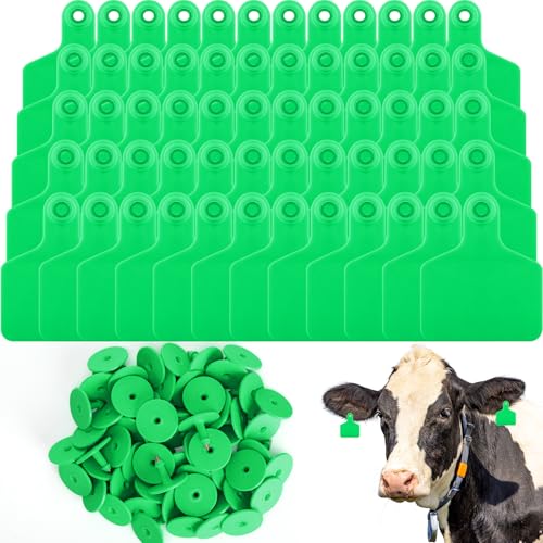 Lothee 100 Pcs Blank Cattle Ear Tags Large Plastic Precision Animal Identification Blank Livestock Ear Tags for Cattle Cow Horse Dog Pig Goat Sheep Farm Management (Green) - color: Green