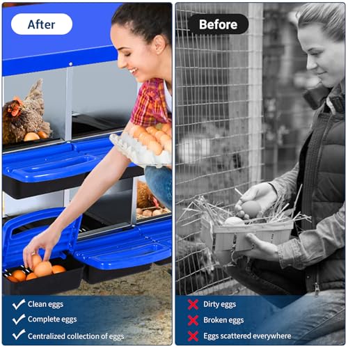 Chicken Nesting Box, Nesting Boxes for Chickens, 8 Compartments Chicken Laying Boxes with Lid Cover, Roll Away Nesting Box for Chickens Laying Egg to Protect Eggs, Blue