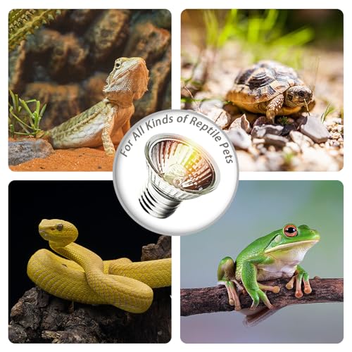 50W UVA Bulbs, 6-Pack Light Turtle Heat Lamp for Reptiles and Amphibian Tanks, Terrariums and Cages, Fit E26 Heat Reptile Lamp,Works with Various Lamp Fixtures