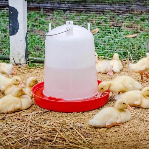 Pickmesh 2 Pcs 2 Gallon Plastic Chicken Waterer for Ducks, Easy Fill | Large Plastic Chicken Waterer, Plastic Poultry Drinker, Automatic Chicken Water Feeder, Duck Baby Chicks Outdoor Farm Rabbit