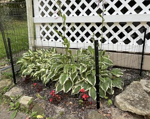 4 Feet Metal Fence Post Black, Pack of 10, for 36 Inch High Garden Welded Wire Fence U-Channel Steel Garden Post - color: Black, size: 4',10 PCS