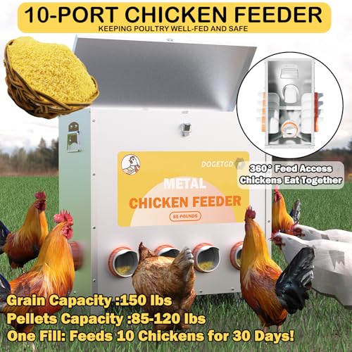 Automatic Chicken Feeder No Waste Metal Poultry Feeder Large Capacity 85lbs for Chickens, Geese, Ducks, Turkeys, Quails (10-Port) - size: 10-Port