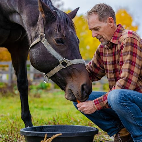 Red Barn 6.5 Gallon Rubber Feed Pan – Large Flexible Livestock Feed & Water Tub for Horses & Cattle – Heavy Duty Rubber Farm Utility Pan - size: 6.5 Gallon