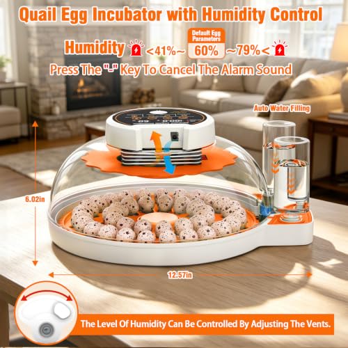 Quail Egg Incubator with Automatic Turner and Humidity Control | Quail Incubators for 40 Hatching Eggs,Outdoor Poultry Egg Incubator, Suitable for Parrot Canary and Other Bird - color: Orange