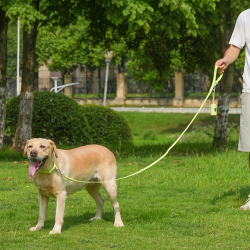 Waterproof Dog Leash with Poop Bag Holder, 5FT/6FT Adjustable Length with 2 Swivel Hooks, Odor-Free & Easy-Clean Dog Lead for Large Medium Small Dogs - color: Lime Green, size: 5FT - 3/5inch Width