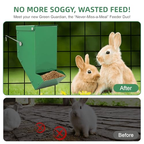 2 Packs Hay Feeder Rabbit, Metal Small Animal Feeder with Lid & Mesh Bottom, 3.1 Inch 1 LBS Capacity, Gravity Food Dispenser for Guinea Pigs Chinchillas, Cage or Outdoor Use, Green - size: 3.1 Inch (2Pcs)