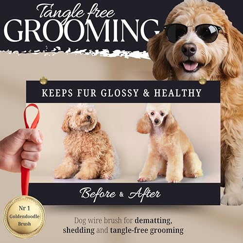Dog Slicker Brush - Large - Protective Ball Tipped Pins Massages Pet Skin - Professional Groomer Dog Brush for Goldendoodle - Golden Retriever Brush (Large Size) - size: 8 Inch x 4.8