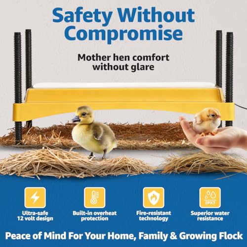 Brinsea Ecoglow Safety 1200 Chick or Duckling Brooder, Up to 35 Chicks | 50+ years of trusted care! Height-adjustable 18W Brooder Plate delivers safe low voltage heat for natural stress-free growth - size: Up to 35 newborn chicks or 20 older chicks