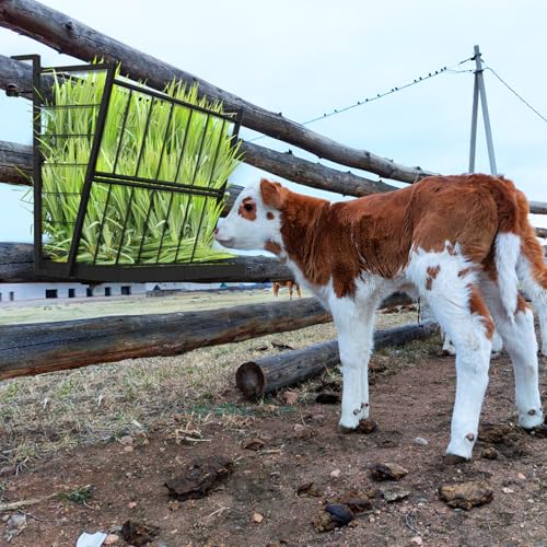 LIANTRAL Hay Feeder Goat, Black 2-in-1 Wall Mounted Goat Hay Rack | Livestock Feeder Goat Hay Feeder Heavy Duty Hay and Grain Feeder for Goats/Horses/Sheep