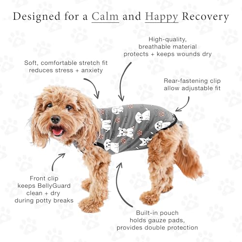 Dog Surgery Recovery Suit, Male Female After Spay Neuter Onesie | Soft Breathable Cotton, Anti-licking Cone Alternative, Protects Stitches & Abdominal Wounds, Patented Clip-up Potty System - color: Silver, size: X-Small