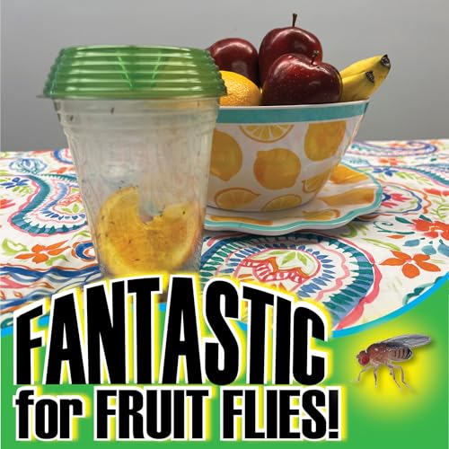 Billy-Bob Fly Lid - Turn Almost Any Cup Into A Fly Trap. Indoor and Outdoor Use - 3 Lids per Pack, 6 Lids Total. Great for Fruit Flies and House Flies!