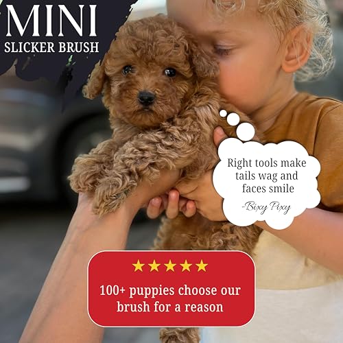 Mini Brush for Dogs and Cats - Coated Tips Massage Skin - Long Pins Remove Mats, Tangles in Long and Poodle Fur - size: Mini Brush