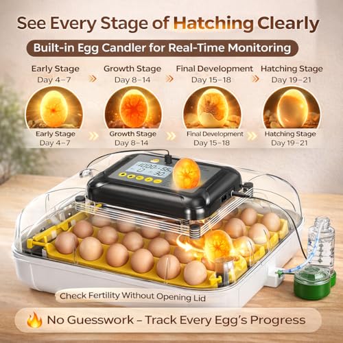 Egg Incubator for Hatching Eggs 30 Eggs, Chicken Incubator with Automatic Egg Turning, Temperature & Humidity Control, Egg Candler, Poultry Incubator for Chicken Quail