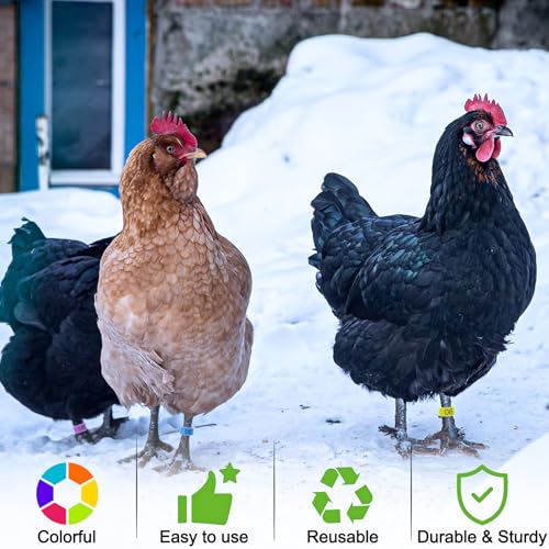 Keedolla 8 Color Chicken Leg Rings 96 Pcs, 16mm Colorful Numbered Chicken Identification Leg Bands Clip on Poultry Foot Rings Chicken Ankle Tags for Chicks Duck Bantam Guinea Pigeons Gamefowl - size: 16mm - 8 Colors