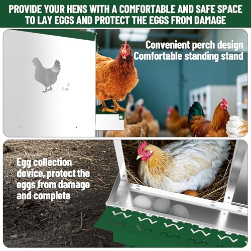 Nesting Boxes for Chickens, 6/8/10-Hole Galvanized Steel Chicken Nesting Boxes for Laying Eggs with Egg Rollaway System to Protect Eggs, Easy Egg Collection, for Chicken Coop Backyard Farm