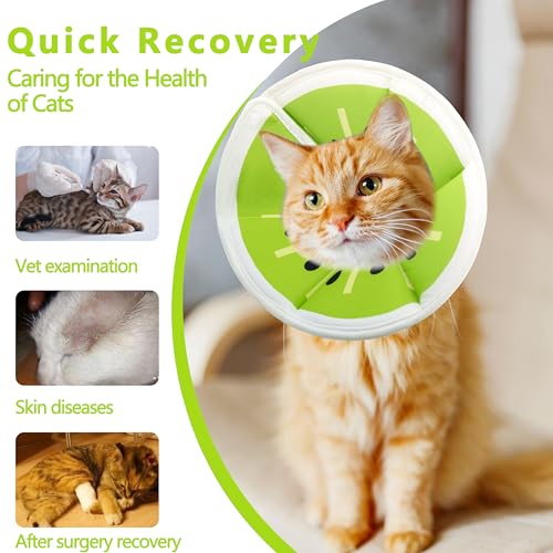 Soft Adjustable Cat Cone Collar, Comfortable Cat Recovery Collar | Suitable for Various Types of Cats,Elizabethan Neck Protective Collar for Cats After Surgery (Kiwifruit, Small) - color: Kiwifruit, size: Small