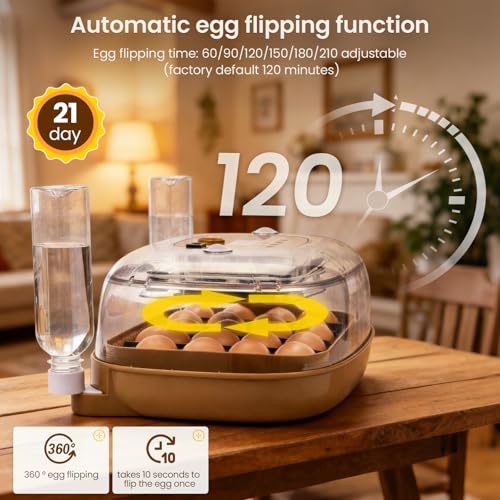 24-Egg Incubator: Auto Egg Turner, Precise Temp Control, Auto Water Refill, Candler | 360° Full Clear View | Fits Chicken/Duck/Quail/Goose/Parrot Eggs | Farm/Home/Classroom Use