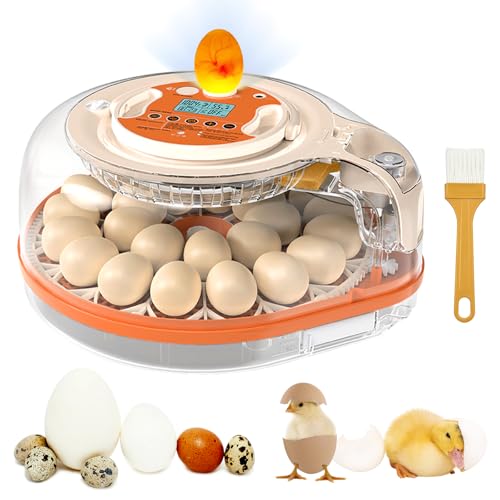 Incubators for Hatching Eggs, FAMEWARE 26 Egg Incubator with Voice Control, Auto Turning, Auto Humidity, °F/°C Switch & Egg Candler, Fits Chicken Bird Eggs - Orange - color: Orange