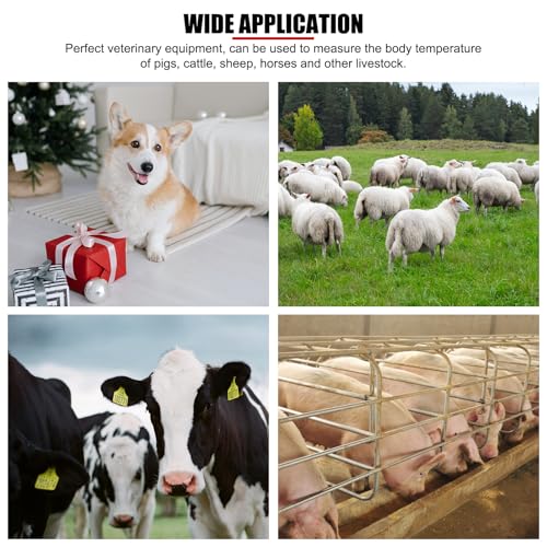 Professional Pet Veterinary Thermometer, LCD Display Fast Digital Thermometer for Livestock Pigs Cattle Sheep Dogs Horse