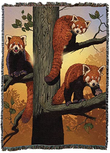 Pure Country Weavers Red Panda Blanket by Vincent HIE - Gift Tapestry Throw Woven from Cotton - Made in The USA (72x54) - color: Red Panda