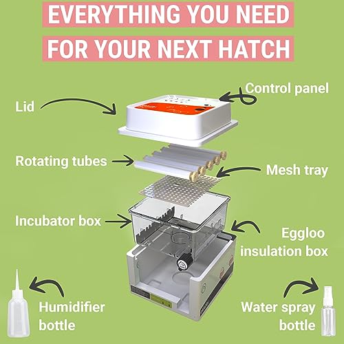OBI-12 Egg Incubators for Hatching Eggs – Incubator for 12 Eggs with Automatic Egg Turner - Brooder for Chicken Eggs, Quail, and Duck Eggs - Orange - color: Orange