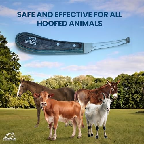 Left-Handed Narrow Farrier Hoof Knife, Horses, Ponies, Minis | Narrow hoof knife for detail trimming; J2 stainless steel blade; smooth blue layered handle; right- or left-handed - style: Left-Handed