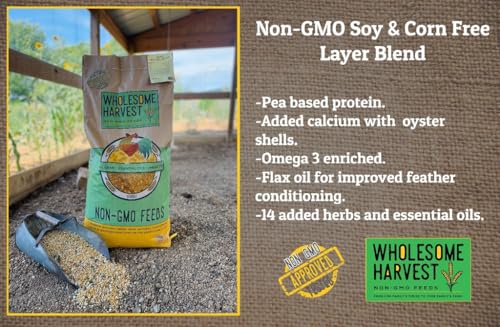Non-GMO Soy and Corn Free Whole Grain Layer Blend 16% - Chicken Feed for Laying Hens and Ducks - Includes Essential Oils, Herbs, Oyster Shells, Vital Minerals, and Omega 3, 40lb - size: 40 Pound (Pack of 1), style: Whole Grain Layer