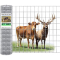 Gisafai 36in x 100ft Welded Wire Fence, 2 Inch x 4 Inch 16 GA, Galvanized Metal Garden Fence Roll Wire Mesh Netting for Goat Deer Cattle Animal Enclosures and Yard Vegetable Plant Protection,Silver - color: Silver, size: 36in X 100 ft