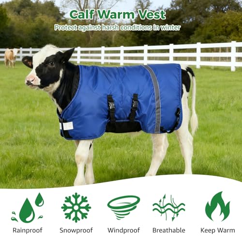 2 PCS Calf Goat Blanket Jacket, Thick Calf Goat Coat for Winter, Oxford Cloth Warming Blanket, Double Sided Waterproof, Windproof Livestock Blanket for Cold Weather (Blue)