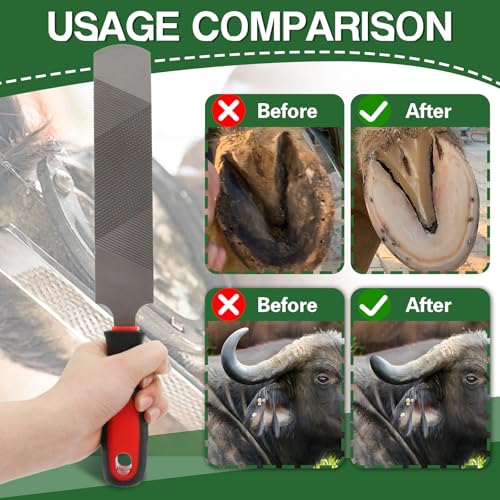 12 Inch Hoof Rasp & Farrier File with Ergonomic Non-Slip Rubber Handle | Heavy Duty Carbon Steel File Dual Sided Coarse & Fine Teeth Hoof Trimming Care Tool with Hanging Hole for Horses Cows Goats