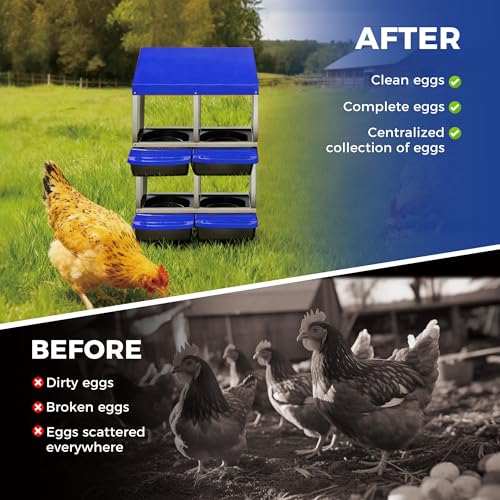 Garvee 4-Hole Roll Away Egg Collection Chicken Nesting Box | Galvanized Steel Nest Box for Laying Eggs - color: Blue, size: 4 holes & 2-tier