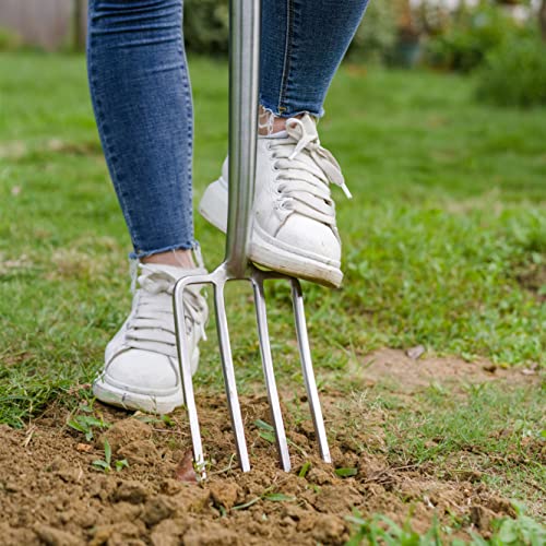 Berry&Bird Garden Digging Fork, 37.4" Stainless Steel Garden Pitchfork | 4-Tine Heavy Duty Garden Fork Long Handle Spading Fork with D-Grip Ashwood Handle for Digging Planting Cultivating Aerating